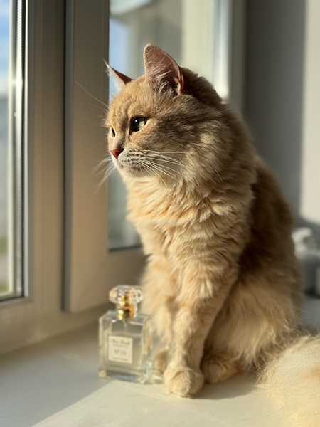 Ляховец Анна ID 01 056852 г