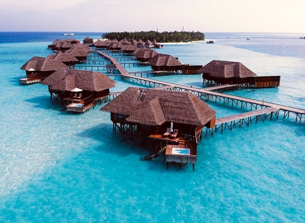 Кто поедет на Мальдивы?