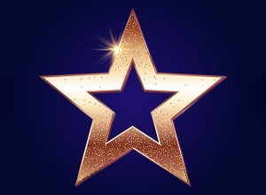 Номинация "Спонсор года" конкурса "Танцующая звезда"