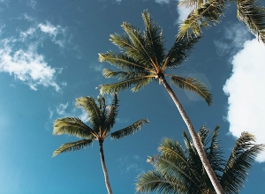 Кто поедет на Директорские каникулы-2024?