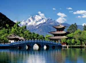 Каникулы-2024. Итоги ноября